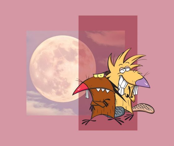 Что принесет Бобровая луна 5 ноября и как она повлияет на знаки зодиака?