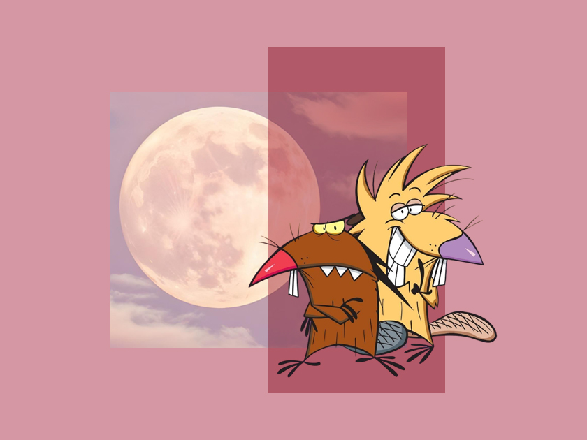 What will the Beaver Moon bring on November 5 and how will it affect your zodiac sign?