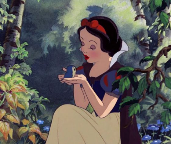 Тест: угадай зимнюю птицу по фото