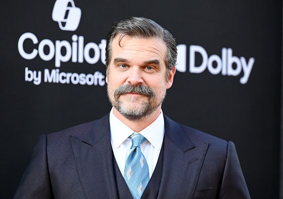 Дэвид Харбор впервые высказался о разводе с Лили Аллен