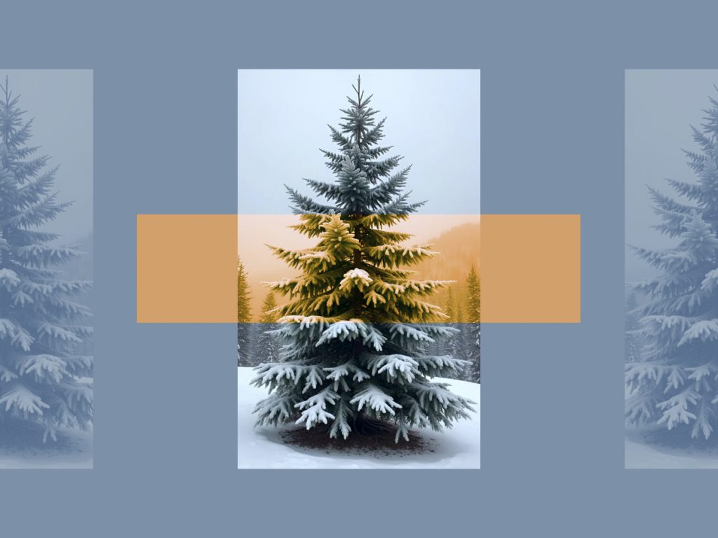 Главное изображение статьи