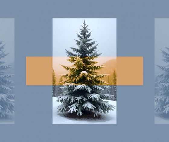 Тест: выбери новогоднюю елку, а мы скажем, что тебя ждет зимой