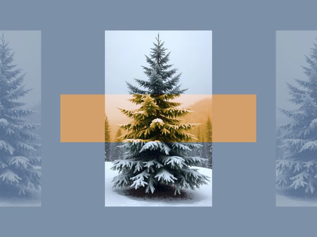 Тест: выбери новогоднюю елку, а мы скажем, что тебя ждет зимой