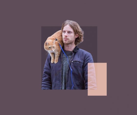 Кот пять месяцев выживал в горах после побега от хозяина