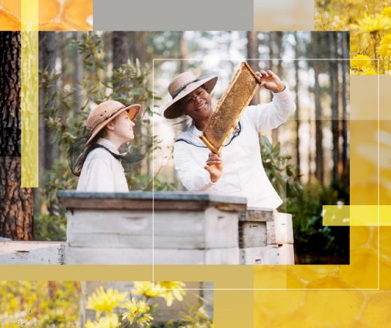 Все о меде: как выбрать качественный, чем полезен и как правильно есть