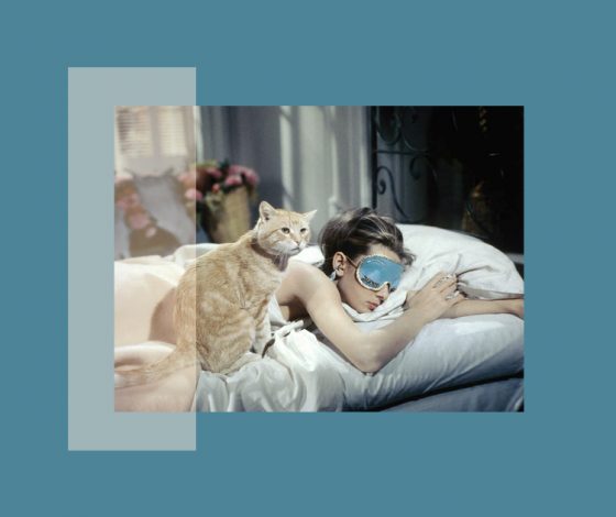 Сколько минут надо спать днем, чтобы активировать работу мозга