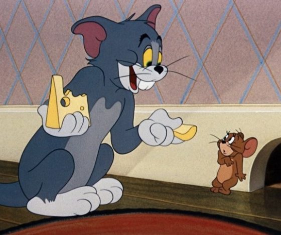 Тест: сможешь отличить реальное название сыра от выдумки редакции?