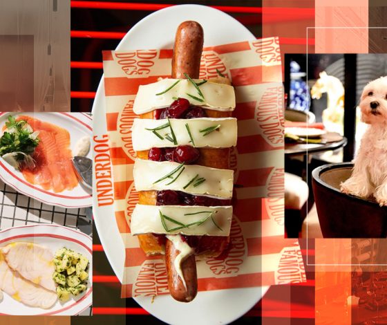 Где поесть с любимым питомцем: 12 ресторанов с концепцией дог-френдли в Москве