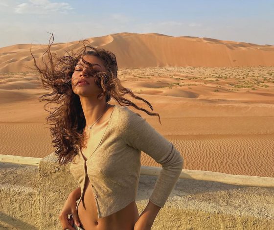 Зендея планирует взять паузу в кино после насыщенного года