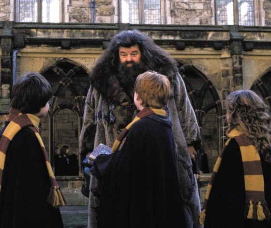 Тест: выбери сцену из «Гарри Поттера», а мы скажем, кто мог бы стать твоим другом в Хогвартсе