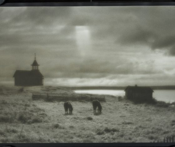 Когда фотография становится искусством. В Третьяковской галерее откроется необычная выставка о природе