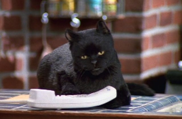 Кадр из сериала «Сабрина – маленькая ведьма», 1996-2003 (Реж. несколько)
